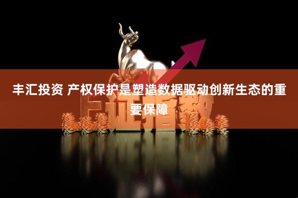 丰汇投资 产权保护是塑造数据驱动创新生态的重要保障
