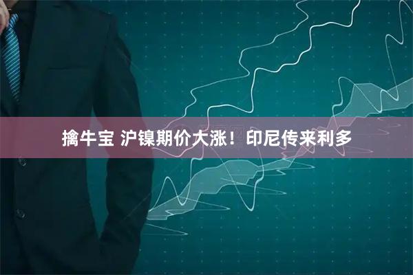 擒牛宝 沪镍期价大涨！印尼传来利多